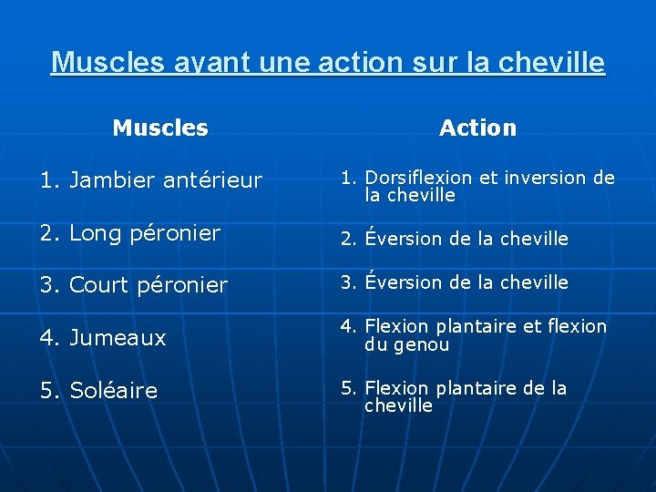 Muscles ayant une action sur la cheville Muscles Action 1. Jambier antérieur 1. Dorsiflexion