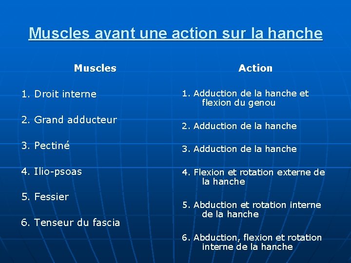 Muscles ayant une action sur la hanche Muscles 1. Droit interne 2. Grand adducteur