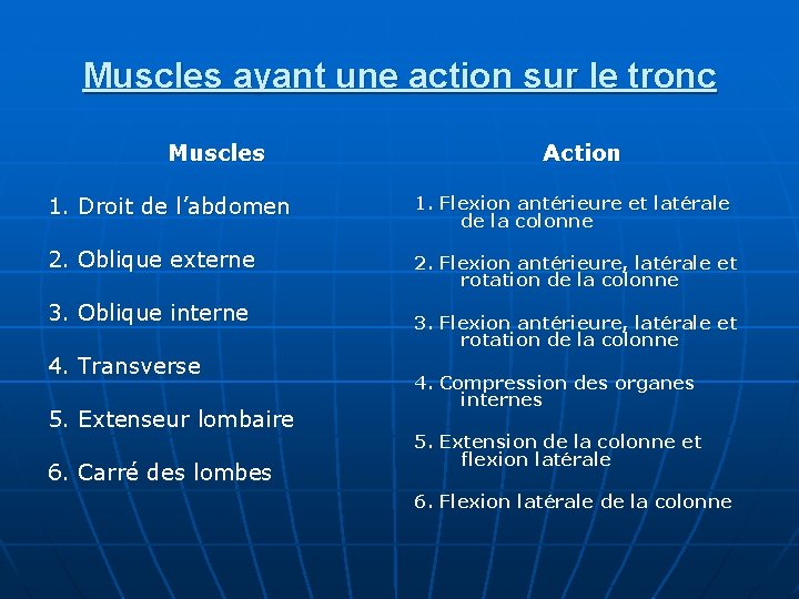 Muscles ayant une action sur le tronc Muscles Action 1. Droit de l’abdomen 1.