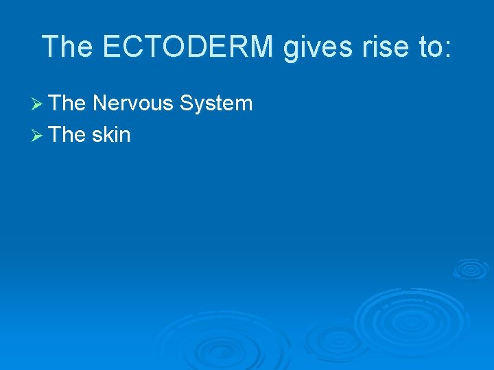 The ECTODERM gives rise to: Ø The Nervous System Ø The skin 