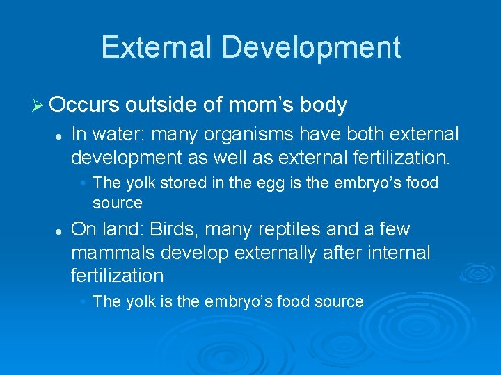 External Development Ø Occurs outside of mom’s body l In water: many organisms have