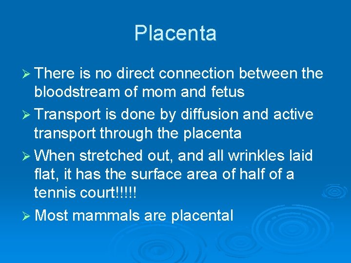 Placenta Ø There is no direct connection between the bloodstream of mom and fetus