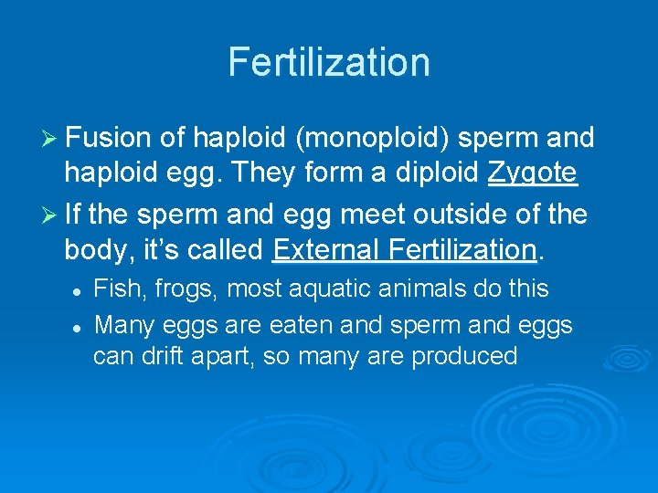 Fertilization Ø Fusion of haploid (monoploid) sperm and haploid egg. They form a diploid