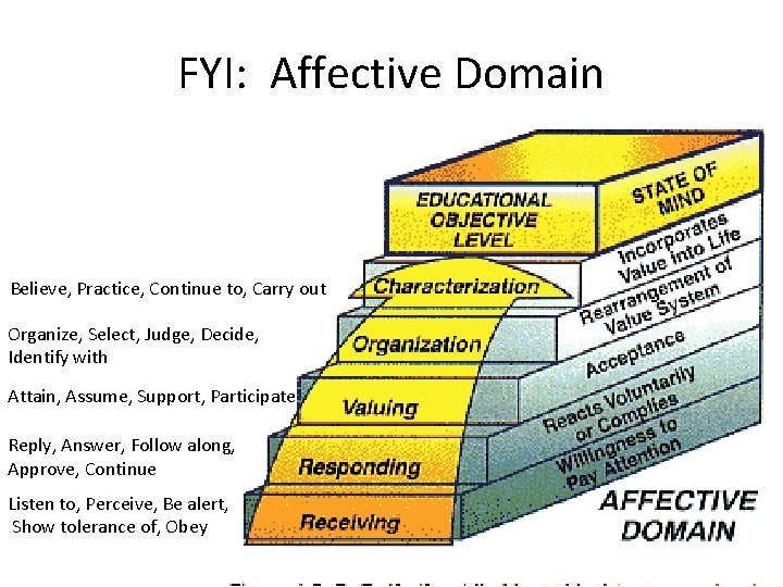 FYI: Affective Domain Believe, Practice, Continue to, Carry out Organize, Select, Judge, Decide, Identify