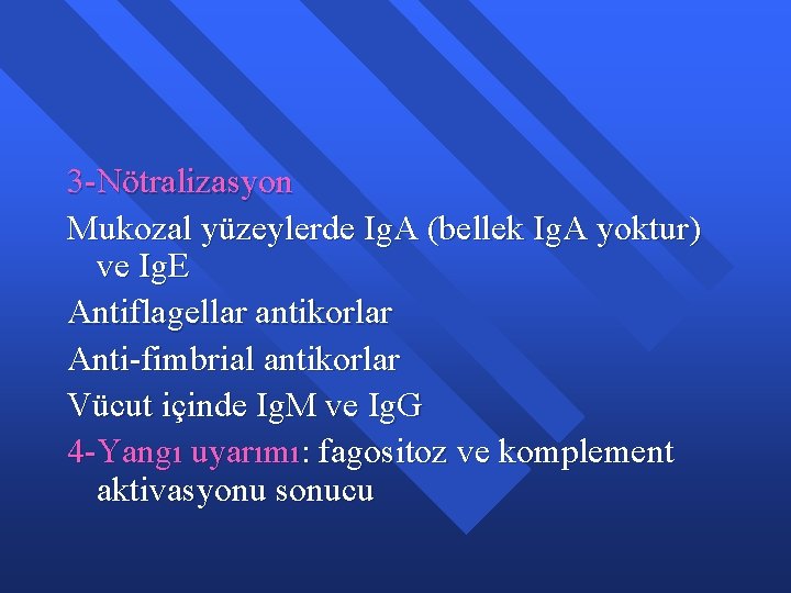 3 -Nötralizasyon Mukozal yüzeylerde Ig. A (bellek Ig. A yoktur) ve Ig. E Antiflagellar