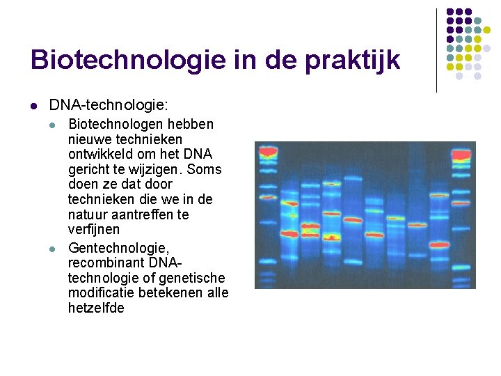 Biotechnologie in de praktijk l DNA-technologie: l l Biotechnologen hebben nieuwe technieken ontwikkeld om