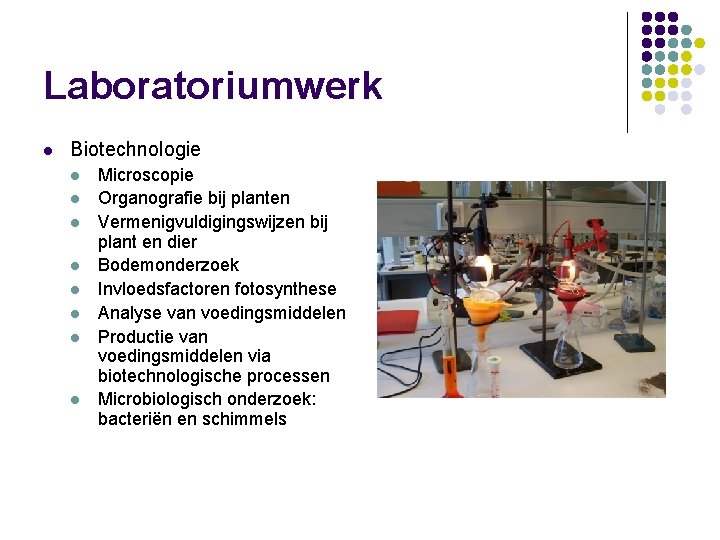 Laboratoriumwerk l Biotechnologie l l l l Microscopie Organografie bij planten Vermenigvuldigingswijzen bij plant