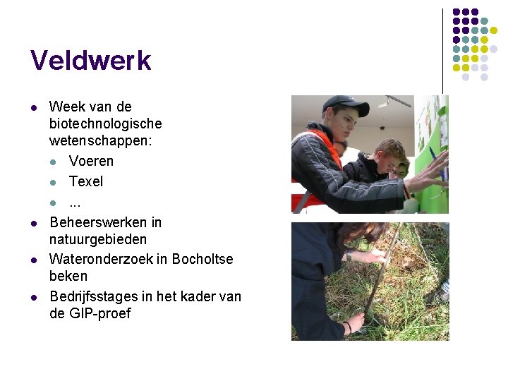 Veldwerk l l Week van de biotechnologische wetenschappen: l Voeren l Texel l. .
