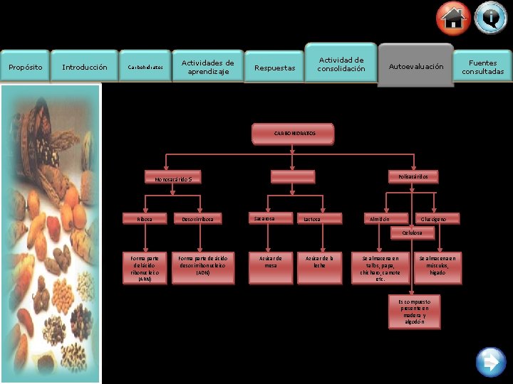 Propósito Introducción Carbohidratos Actividades de aprendizaje Actividad de consolidación Respuestas Autoevaluación CARBOHIDRATOS Monosacárido s