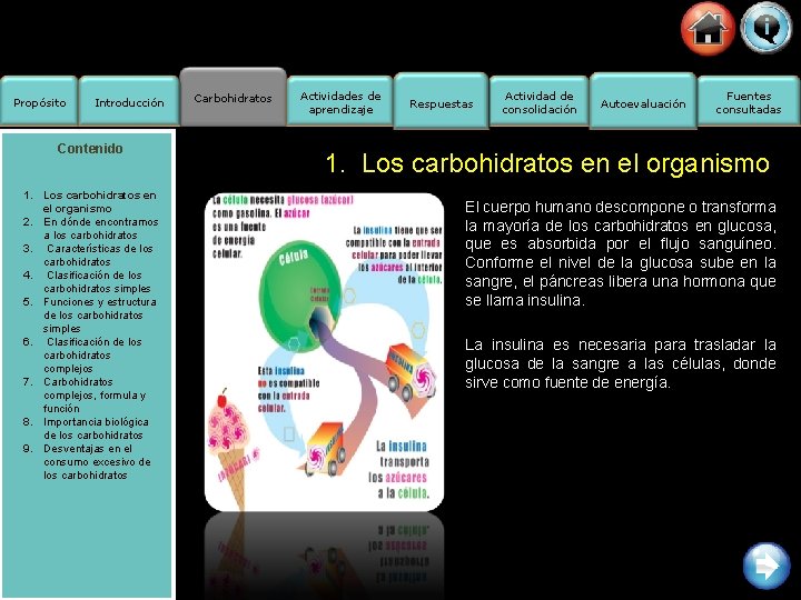 Propósito Introducción Contenido 1. Los carbohidratos en el organismo 2. En dónde encontramos a