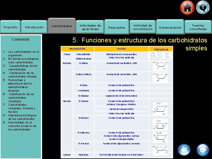 Propósito Introducción Carbohidratos Respuestas Actividad de consolidación Autoevaluación Fuentes consultadas 5. Funciones y estructura