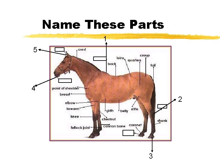 Name These Parts 1 5 4 2 3 