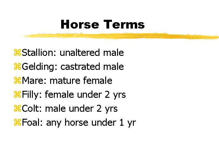 Horse Terms z. Stallion: unaltered male z. Gelding: castrated male z. Mare: mature female