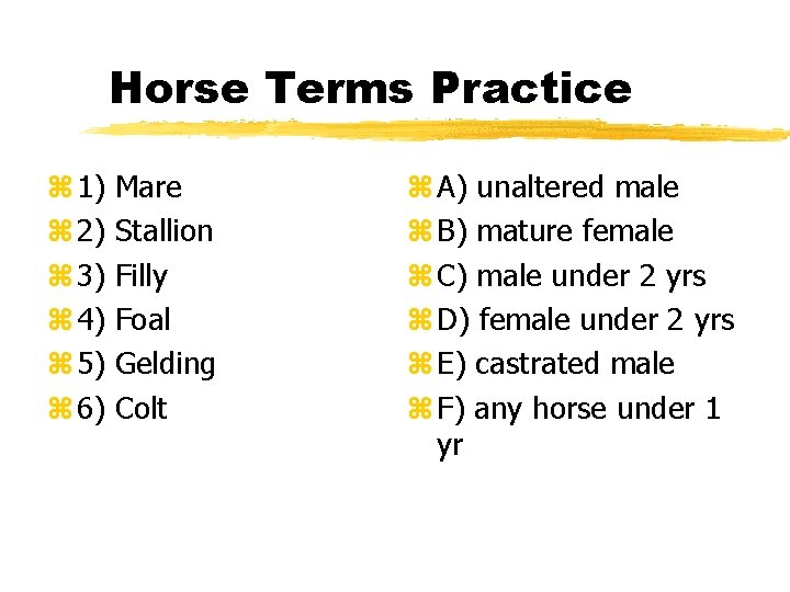 Horse Terms Practice z 1) z 2) z 3) z 4) z 5) z