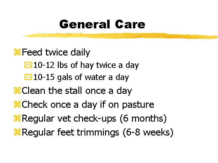 General Care z. Feed twice daily y 10 -12 lbs of hay twice a