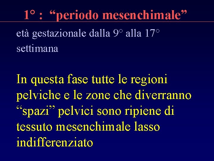 1° : “periodo mesenchimale” età gestazionale dalla 9° alla 17° settimana In questa fase