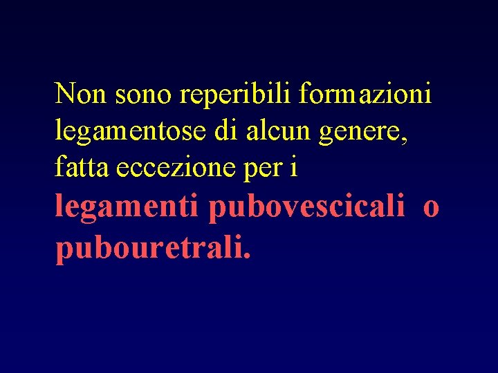 Non sono reperibili formazioni legamentose di alcun genere, fatta eccezione per i legamenti pubovescicali
