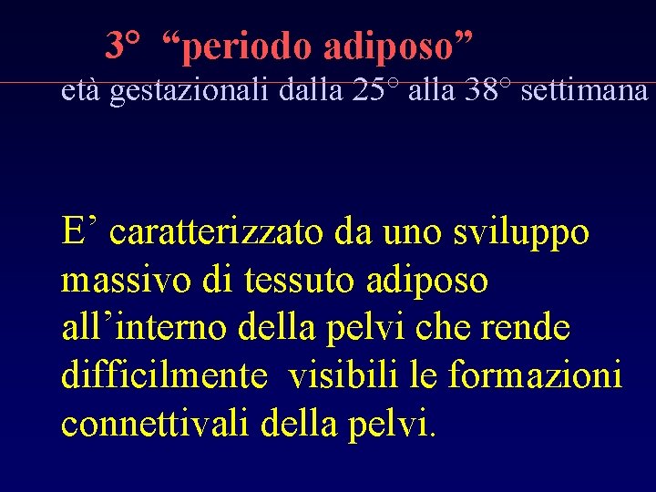 3° “periodo adiposo” età gestazionali dalla 25° alla 38° settimana E’ caratterizzato da uno