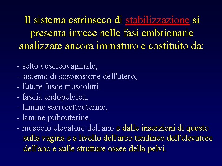 Il sistema estrinseco di stabilizzazione si presenta invece nelle fasi embrionarie analizzate ancora immaturo