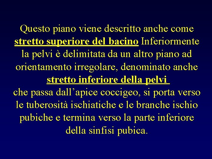 Questo piano viene descritto anche come stretto superiore del bacino Inferiormente la pelvi è
