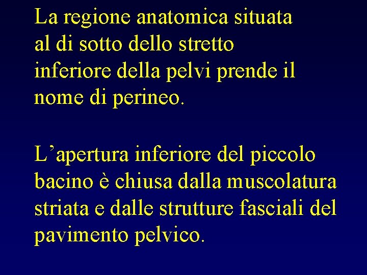 La regione anatomica situata al di sotto dello stretto inferiore della pelvi prende il