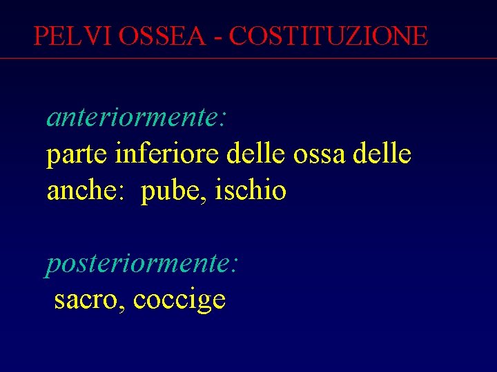 PELVI OSSEA - COSTITUZIONE anteriormente: parte inferiore delle ossa delle anche: pube, ischio posteriormente: