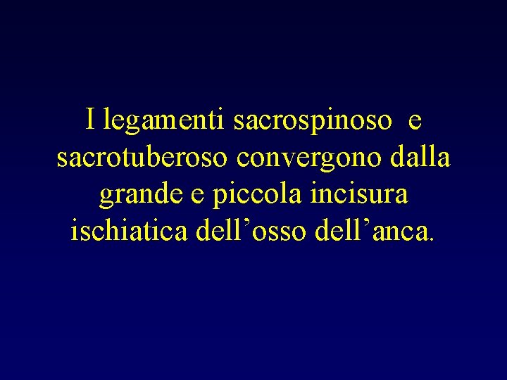 I legamenti sacrospinoso e sacrotuberoso convergono dalla grande e piccola incisura ischiatica dell’osso dell’anca.