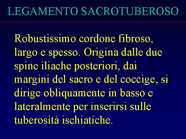 LEGAMENTO SACROTUBEROSO Robustissimo cordone fibroso, largo e spesso. Origina dalle due spine iliache posteriori,