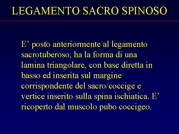 LEGAMENTO SACRO SPINOSO E’ posto anteriormente al legamento sacrotuberoso, ha la forma di una