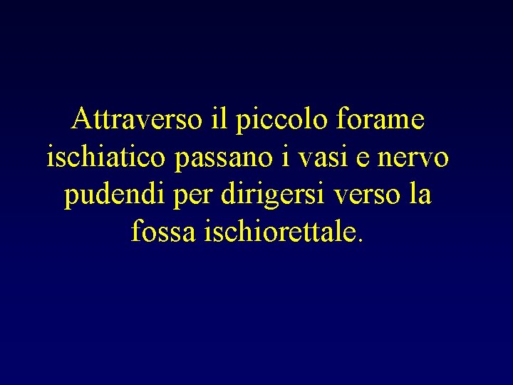 Attraverso il piccolo forame ischiatico passano i vasi e nervo pudendi per dirigersi verso