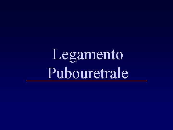 Legamento Pubouretrale 