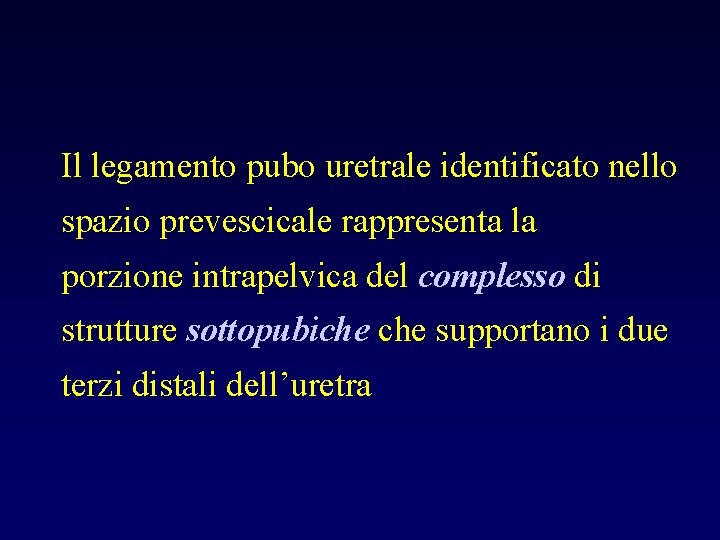 Il legamento pubo uretrale identificato nello spazio prevescicale rappresenta la porzione intrapelvica del complesso