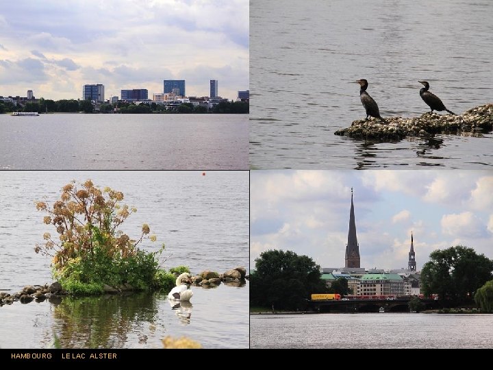 HAMBOURG LE LAC ALSTER 