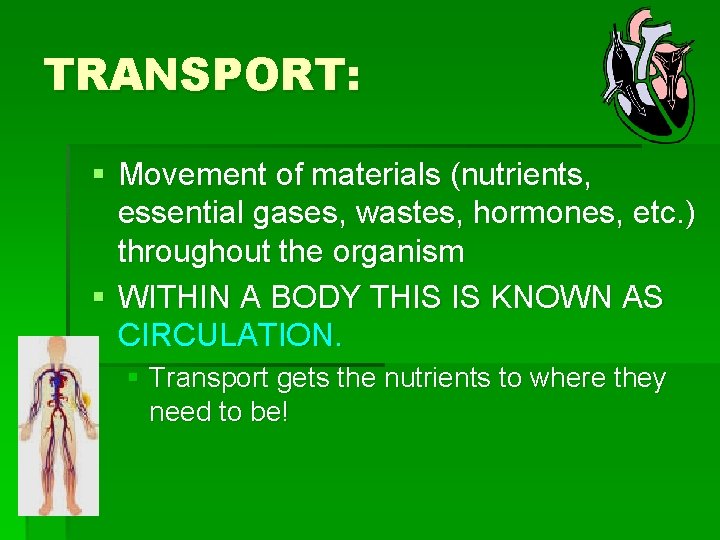 TRANSPORT: § Movement of materials (nutrients, essential gases, wastes, hormones, etc. ) throughout the