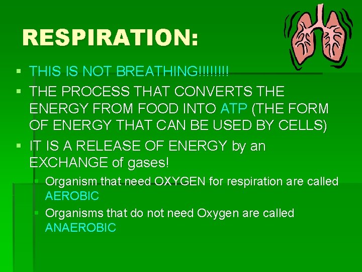 RESPIRATION: § THIS IS NOT BREATHING!!!! § THE PROCESS THAT CONVERTS THE ENERGY FROM