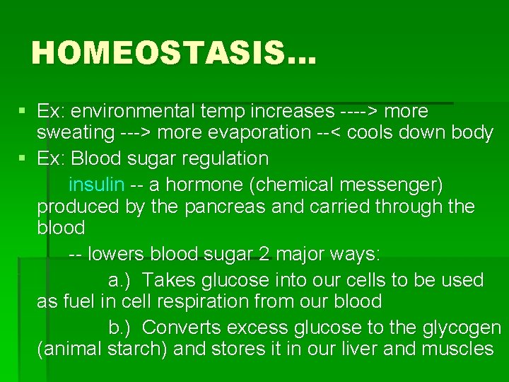 HOMEOSTASIS… § Ex: environmental temp increases ----> more sweating ---> more evaporation --< cools