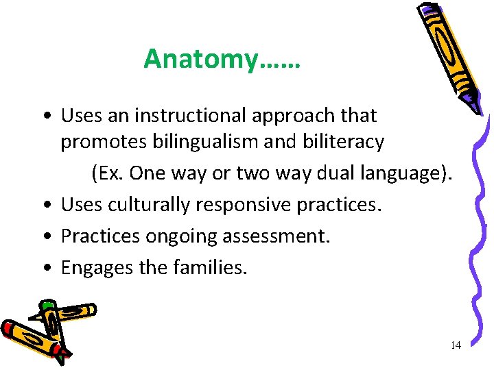 Anatomy…… • Uses an instructional approach that promotes bilingualism and biliteracy (Ex. One way