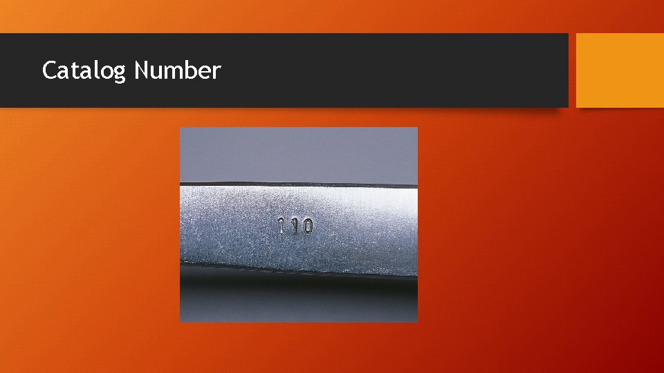 Catalog Number Catalog Number