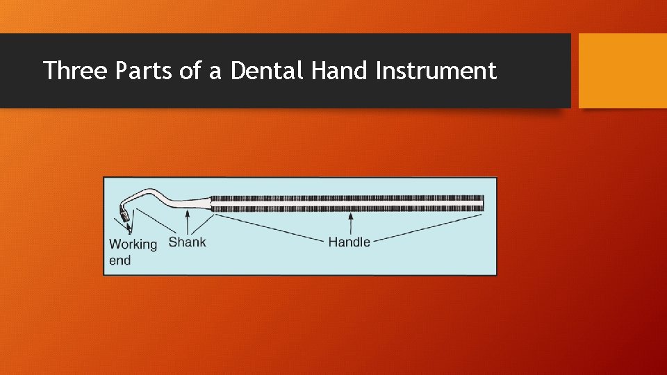 Three Parts of a Dental Hand Instrument 