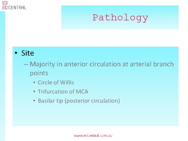 Pathology • Site – Majority in anterior circulation at arterial branch points • Circle