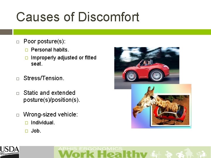 Causes of Discomfort Poor posture(s): � Personal habits. � Improperly adjusted or fitted seat.