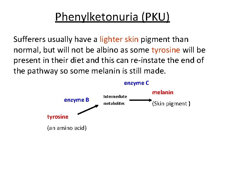 Phenylketonuria (PKU) Sufferers usually have a lighter skin pigment than normal, but will not