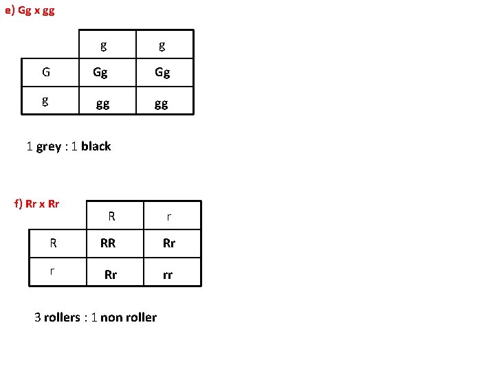 e) Gg x gg g g G Gg Gg g gg gg 1 grey
