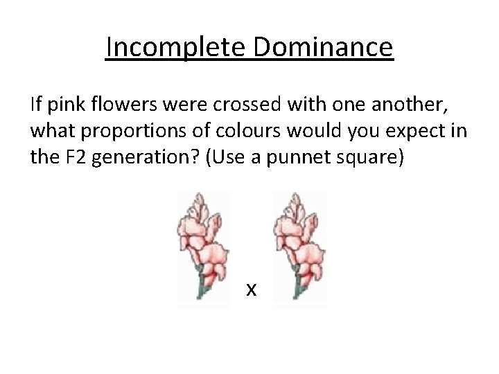 Incomplete Dominance If pink flowers were crossed with one another, what proportions of colours