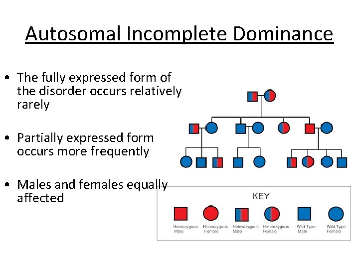 Autosomal Incomplete Dominance • The fully expressed form of the disorder occurs relatively rarely