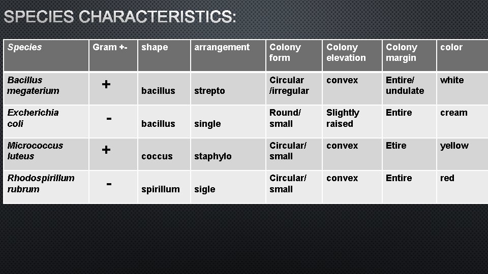 SPECIES CHARACTERISTICS: Species Gram +- Bacillus megaterium + Excherichia coli - Micrococcus luteus +