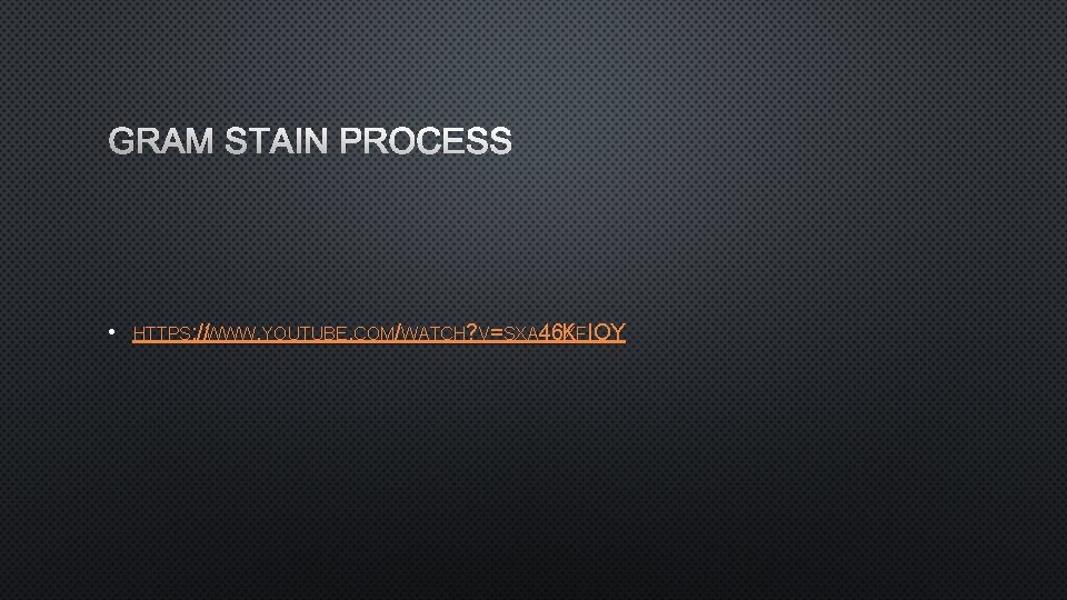 GRAM STAIN PROCESS • HTTPS: //WWW. YOUTUBE. COM/WATCH? V=SXA 46 K X FIOY 