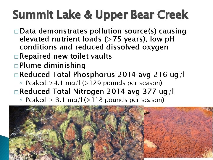 Summit Lake & Upper Bear Creek � Data demonstrates pollution source(s) causing elevated nutrient