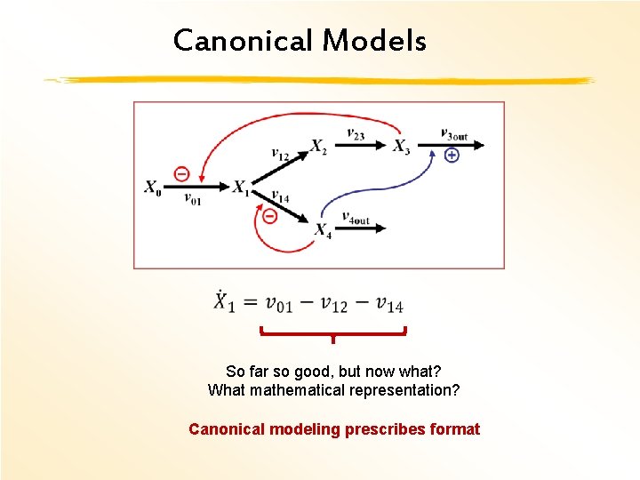 Canonical Models So far so good, but now what? What mathematical representation? Canonical modeling