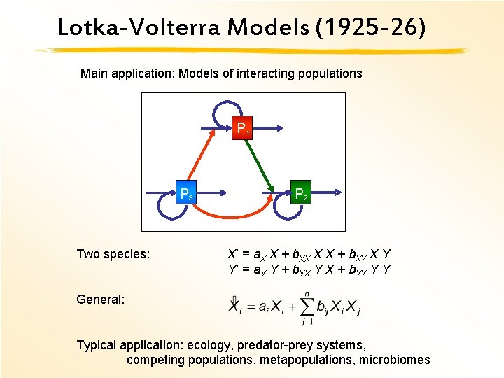 Lotka-Volterra Models (1925 -26) Main application: Models of interacting populations B 1 P B